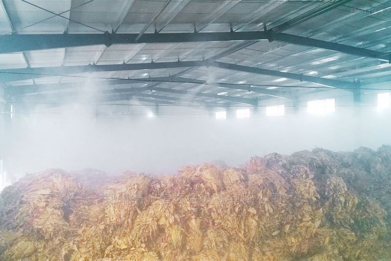 提升煙葉加工質量，高效回潮很重要
