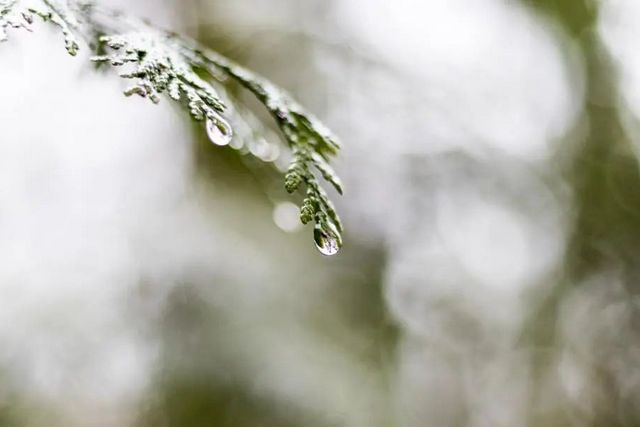 空氣濕度大帶來的危害有哪些，你知道嗎？