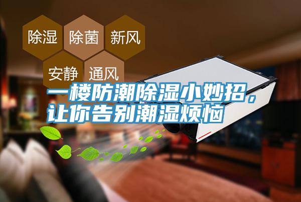 一樓防潮除濕小妙招，讓你告別潮濕煩惱