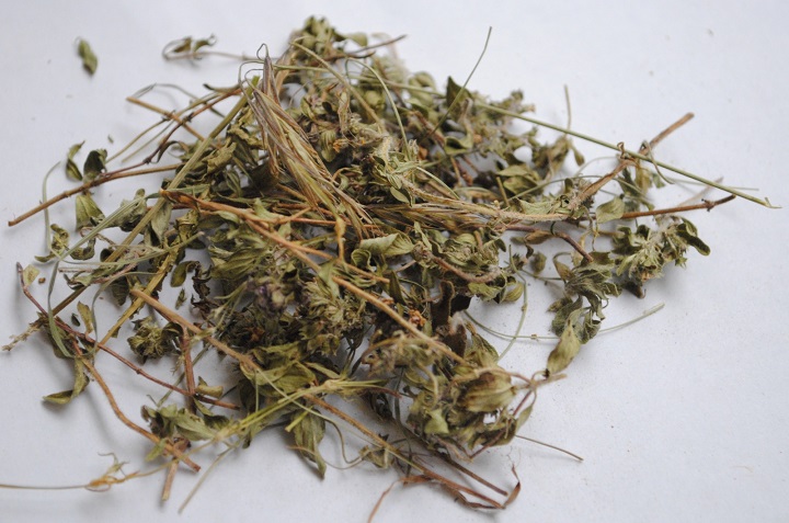 91AV手机看片烘幹機