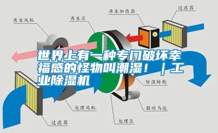 世界上有一種專門破壞幸福感的怪物叫潮濕！｜工業91看片软件大全