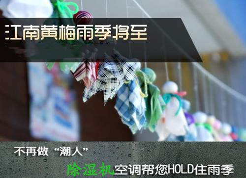 防潮91看片软件大全