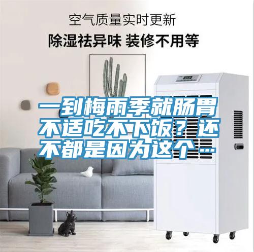 一到梅雨季就腸胃不適吃不下飯？還不都是因為這個…