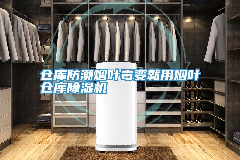倉庫防潮煙葉黴變就用煙葉倉庫91看片软件大全