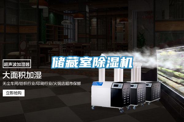 儲藏室91看片软件大全