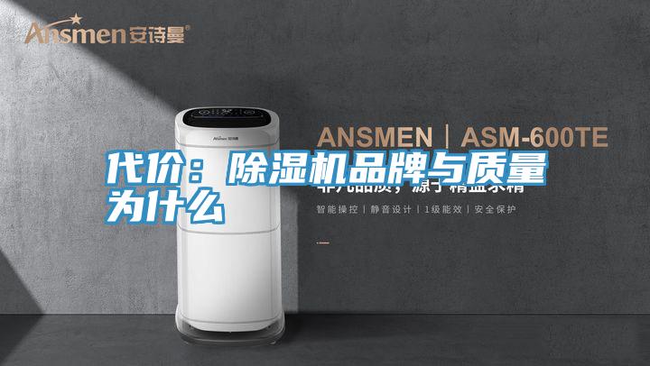 代價：91看片软件大全品牌與質量為什麽