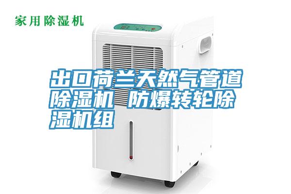 出口荷蘭天然氣管道91看片软件大全 防爆轉輪91看片软件大全組