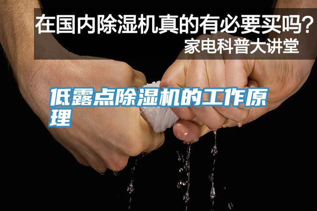 低露點91看片软件大全的工作原理