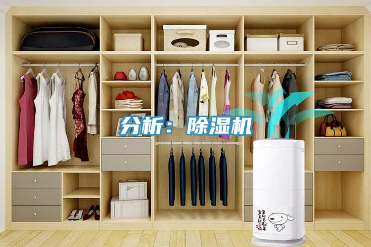 分析：91看片软件大全