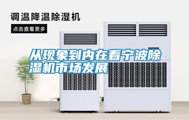 從現象到內在看寧波91看片软件大全市場發展