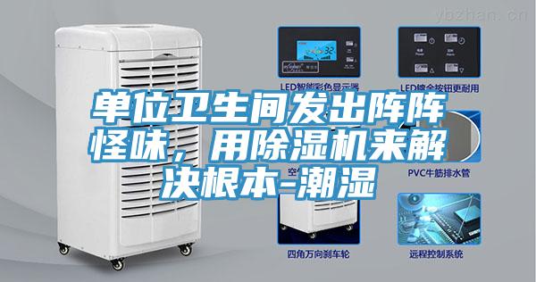 單位衛生間發出陣陣怪味，用91看片软件大全來解決根本-潮濕