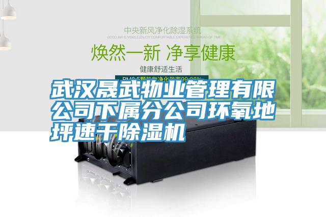 武漢晟武物業管理有限公司下屬分公司環氧地坪速幹91看片软件大全
