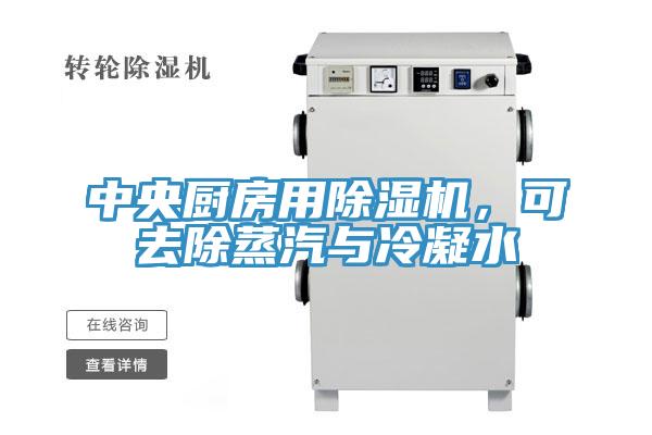中央廚房用91看片软件大全，可去除蒸汽與冷凝水