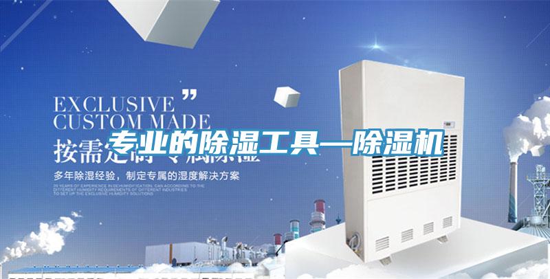 專業的除濕工具—91看片软件大全