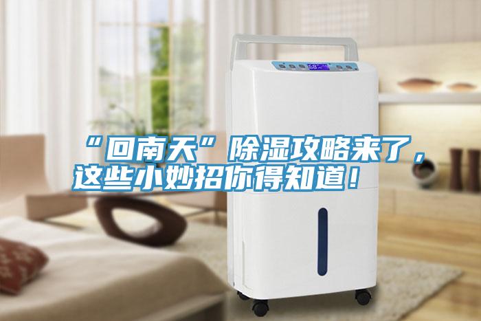 “回南天”除濕攻略來了，這些小妙招你得知道！