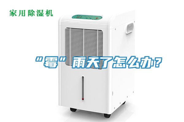 “黴”雨天了怎麽辦？