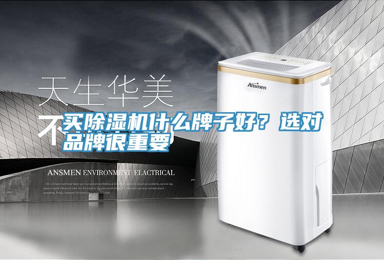買91看片软件大全什麽牌子好？選對品牌很重要