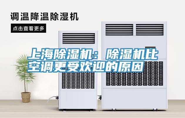上海91看片软件大全：91看片软件大全比空調更受歡迎的原因