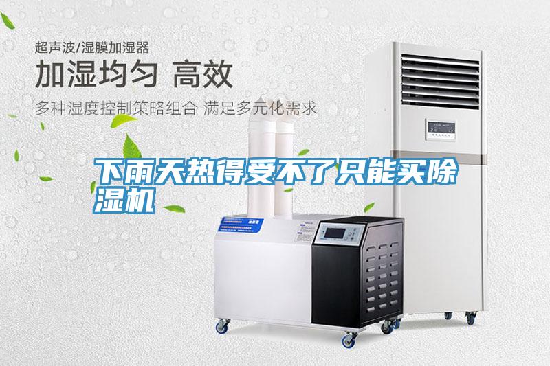 下雨天熱得受不了隻能買91看片软件大全