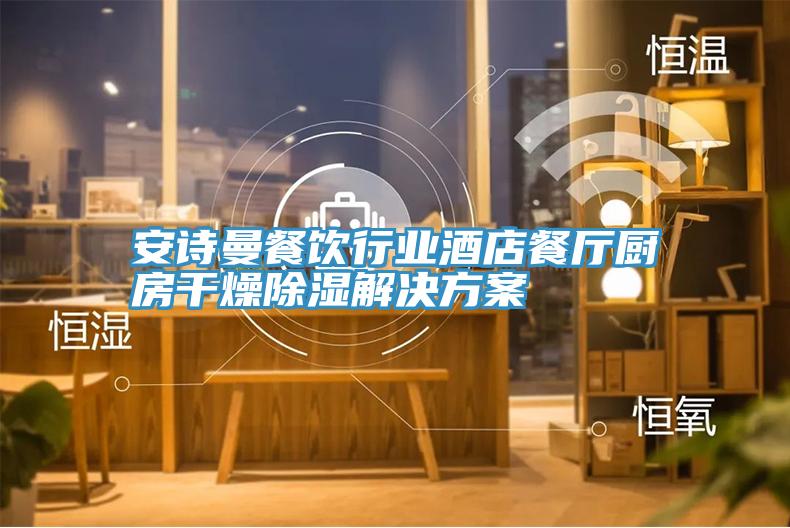 91AV手机看片餐飲行業酒店餐廳廚房幹燥除濕解決方案