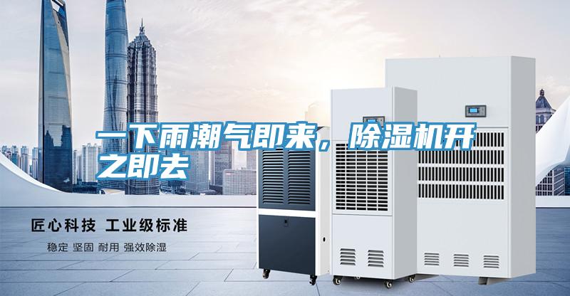 一下雨潮氣即來，91看片软件大全開之即去