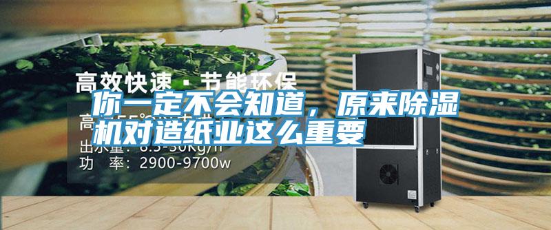 你一定不會知道，原來91看片软件大全對造紙業這麽重要