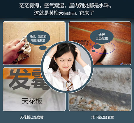 家庭別墅的地下室、衛生間、儲物室等該如何除濕？