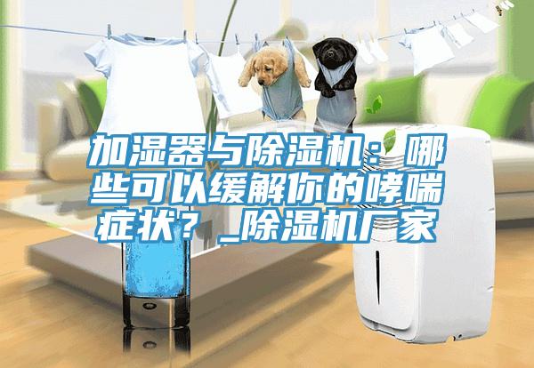 加濕器與91看片软件大全：哪些可以緩解你的哮喘症狀？_91看片软件大全廠家