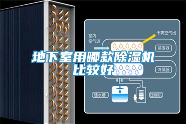地下室用哪款91看片软件大全比較好