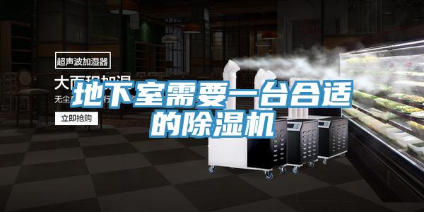 地下室需要一台合適的91看片软件大全