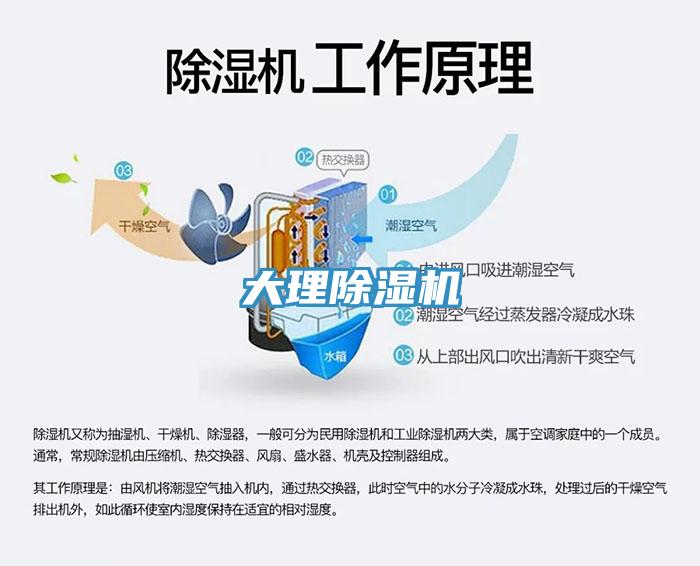 大理91看片软件大全