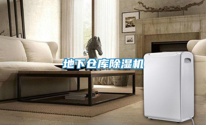 地下倉庫91看片软件大全