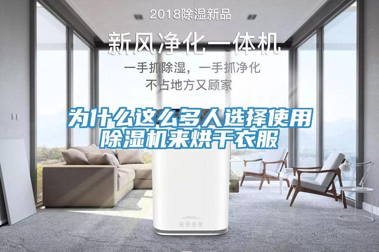 為什麽這麽多人選擇使用91看片软件大全來烘幹衣服