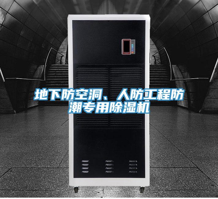 地下防空洞、人防工程防潮專用91看片软件大全