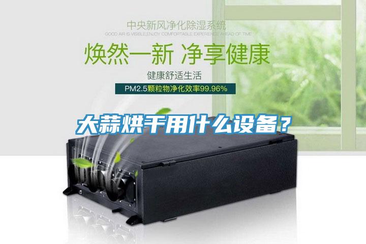 大蒜烘幹用什麽設備？