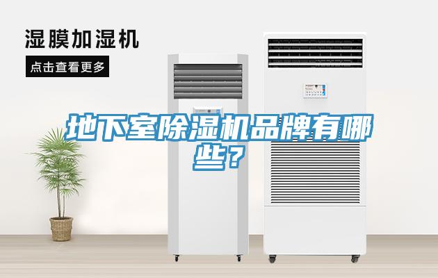 地下室91看片软件大全品牌有哪些？