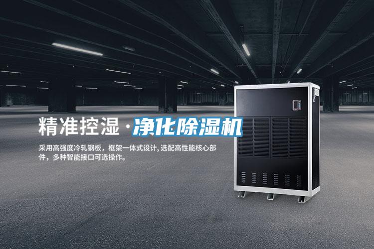 淨化91看片软件大全
