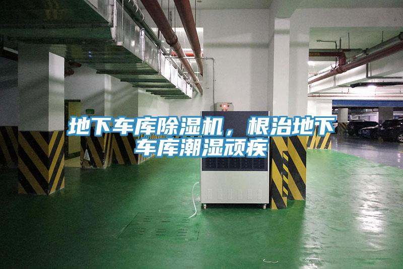 地下車庫91看片软件大全，根治地下車庫潮濕頑疾