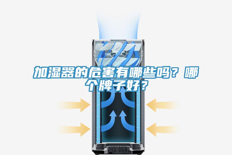 加濕器的危害有哪些嗎？哪個牌子好？