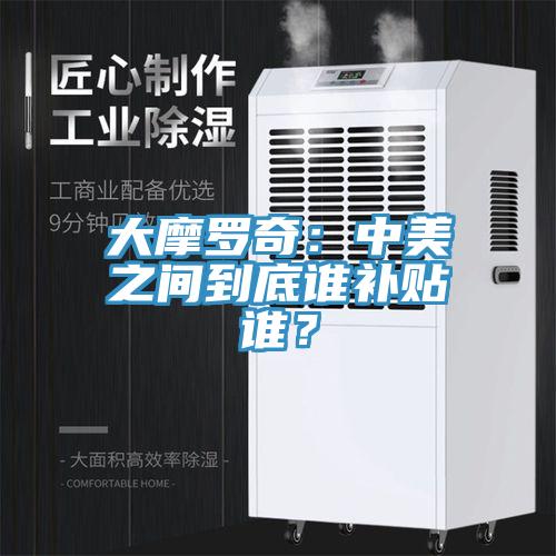 大摩羅奇：中美之間到底誰補貼誰？