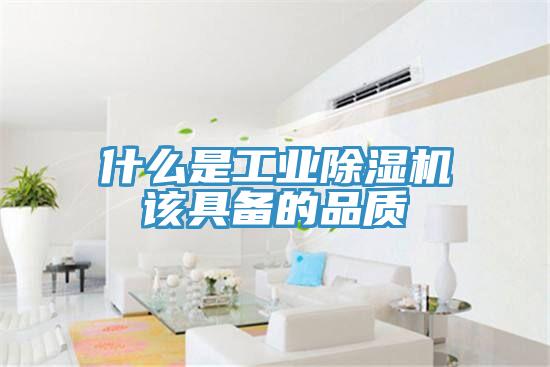 什麽是工業91看片软件大全該具備的品質