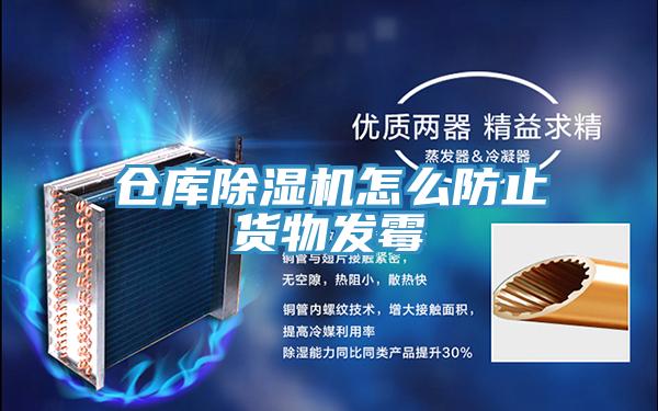 倉庫91看片软件大全怎麽防止貨物發黴