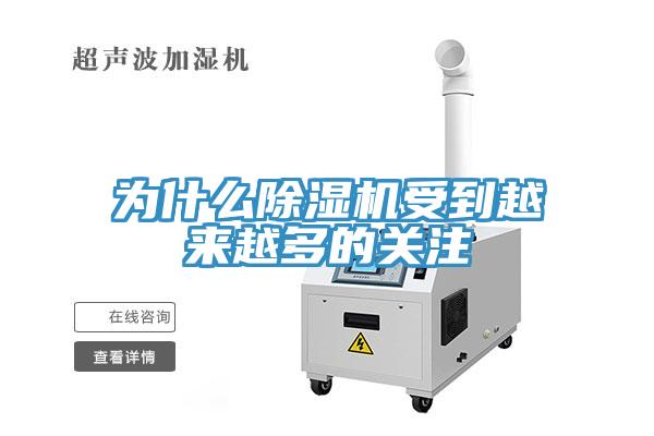 為什麽91看片软件大全受到越來越多的關注