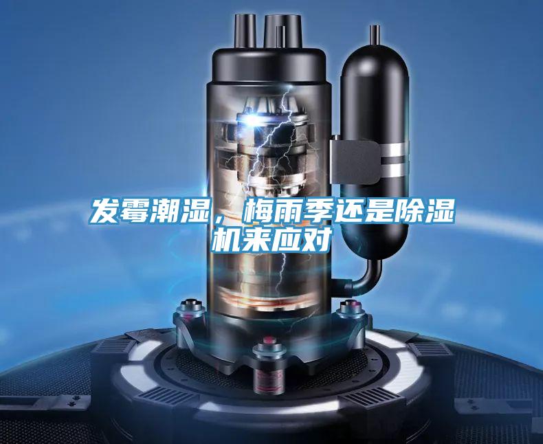 發黴潮濕，梅雨季還是91看片软件大全來應對