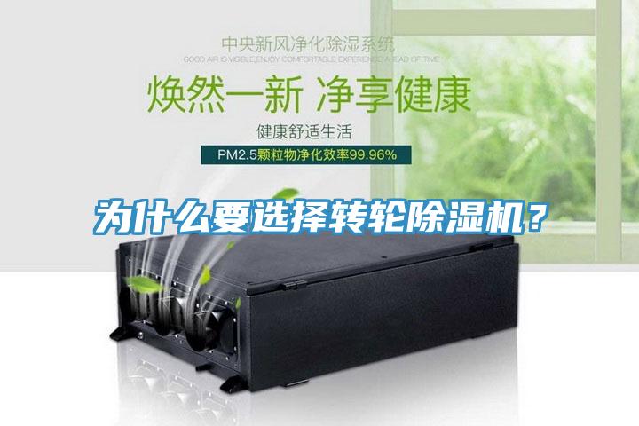 為什麽要選擇轉輪91看片软件大全？