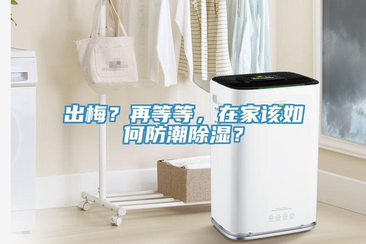 出梅？再等等，在家該如何防潮除濕？