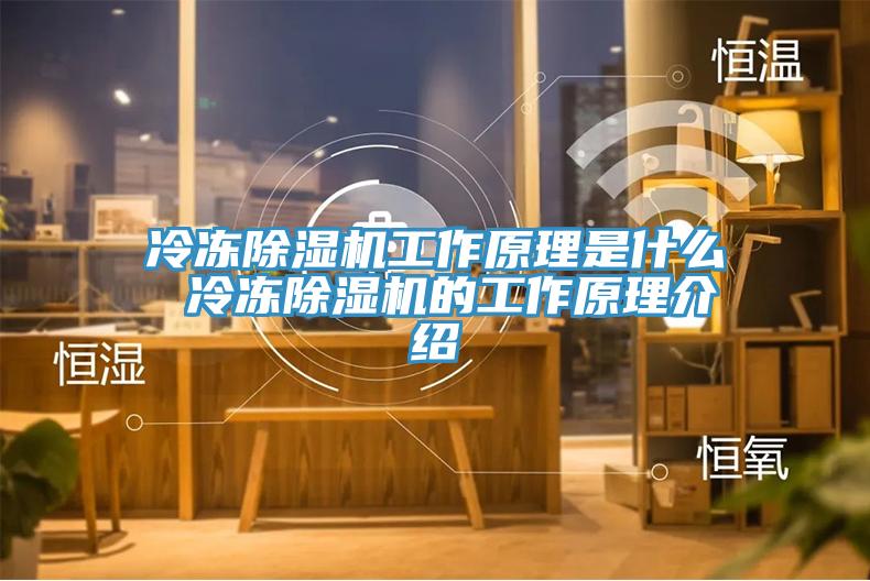 冷凍91看片软件大全工作原理是什麽 冷凍91看片软件大全的工作原理介紹