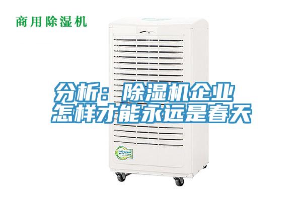 分析：91看片软件大全企業 怎樣才能永遠是春天