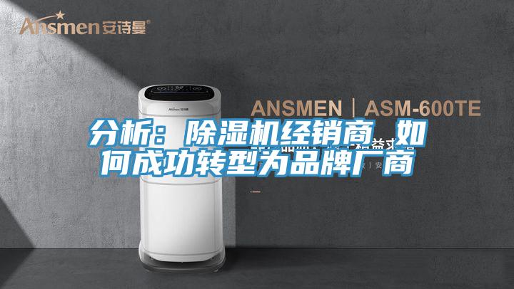 分析：91看片软件大全經銷商 如何成功轉型為品牌廠商
