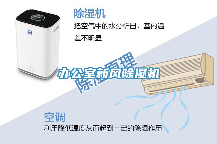 辦公室新風91看片软件大全